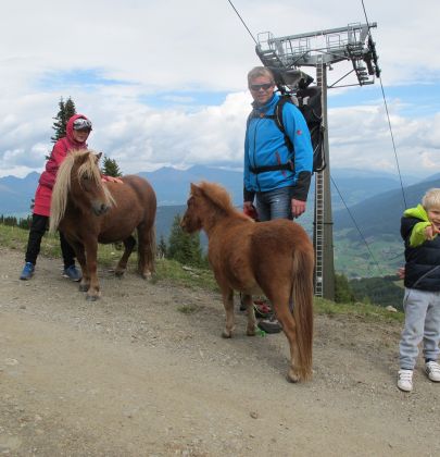 Wandern im Lungau