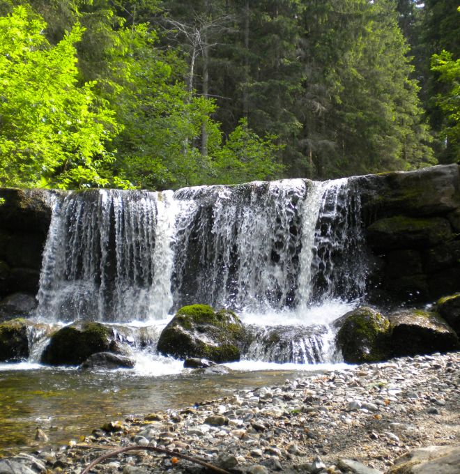 Wasserwanderweg Leisnitzgraben Wasserwanderweg Leisnitzgraben
