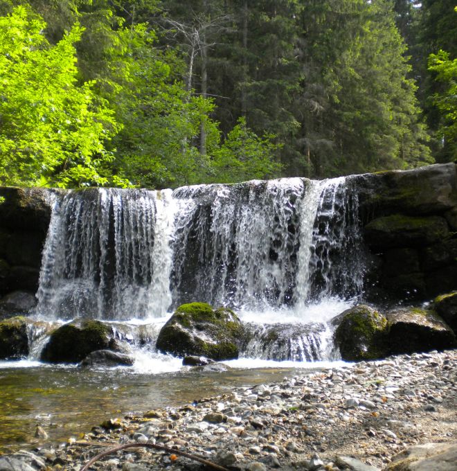 Wasserwanderweg Leisnitzgraben